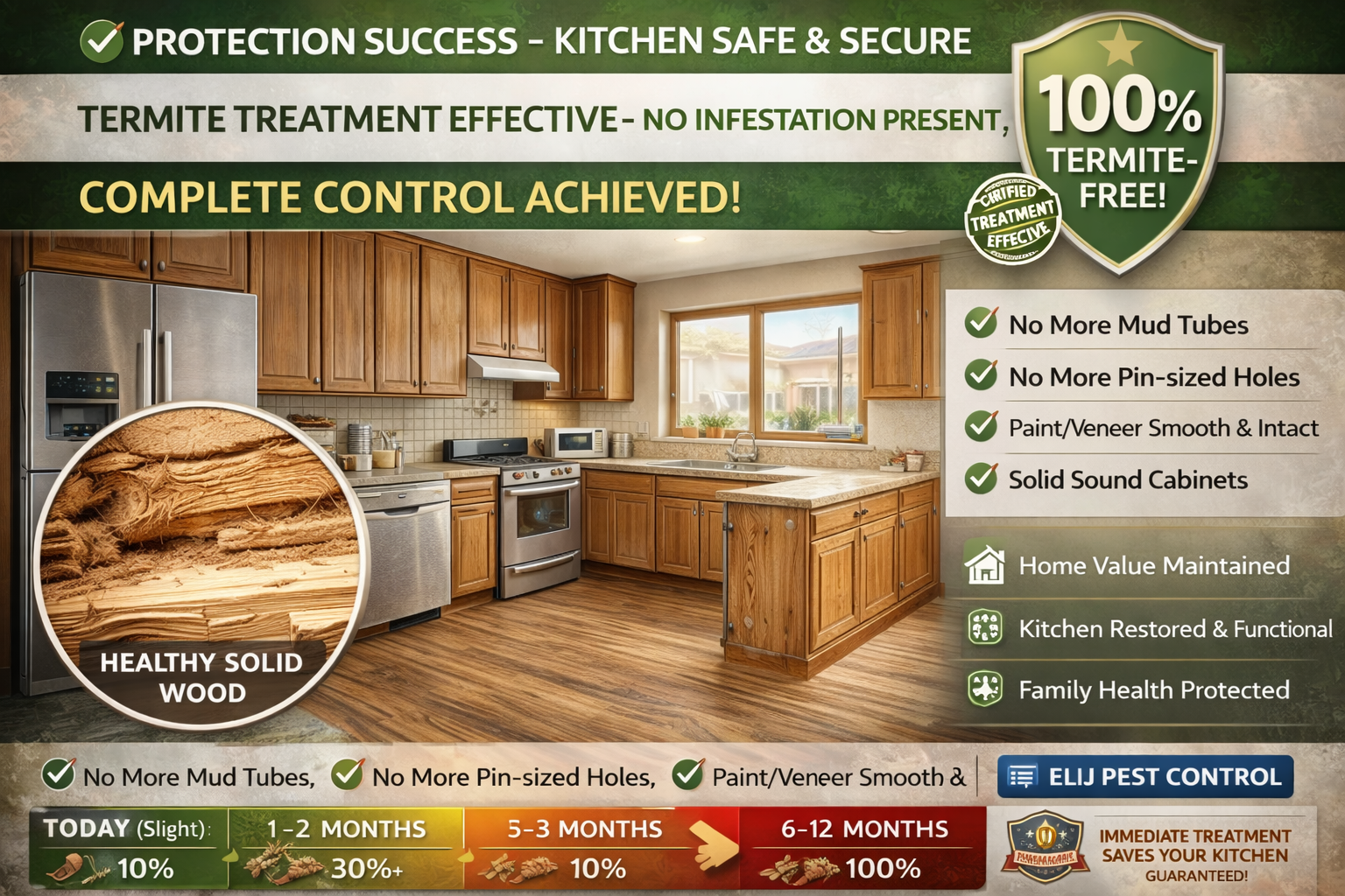 After Termite Treatment Service